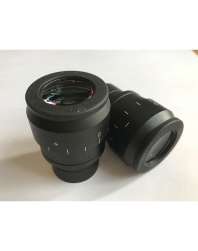 Pair Microscope Eyepieces Plan WF10X /22mm High Eye-Point Diopter Adjustable